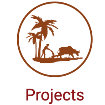  projects 