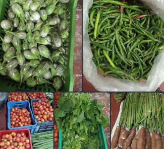 Vegetables grown at Sadashivpet, Kamyavan.  Excess is sold to devotees.